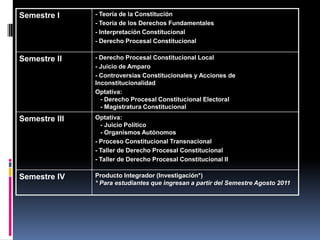 Semestre I     - Teoría de la Constitución
               - Teoría de los Derechos Fundamentales
               - Interpretación Constitucional
               - Derecho Procesal Constitucional

Semestre II    - Derecho Procesal Constitucional Local
               - Juicio de Amparo
               - Controversias Constitucionales y Acciones de
               Inconstitucionalidad
               Optativa:
                 - Derecho Procesal Constitucional Electoral
                 - Magistratura Constitucional
Semestre III   Optativa:
                 - Juicio Político
                 - Organismos Autónomos
               - Proceso Constitucional Transnacional
               - Taller de Derecho Procesal Constitucional
               - Taller de Derecho Procesal Constitucional II

Semestre IV    Producto Integrador (Investigación*)
               * Para estudiantes que ingresan a partir del Semestre Agosto 2011
 