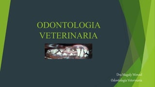 ODONTOLOGIA
VETERINARIA
Dra Magaly Wenzel
Odontología Veterinaria
 
