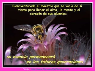 Bienaventurado el maestro que se vacía de sí mismo para llenar el alma, la mente y el corazón de sus alumnos:   su esencia permanecerá  en las futuras generaciones. Visita:  http:// www.RenuevoDePlenitud.com 