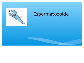 Espermatozoide
 