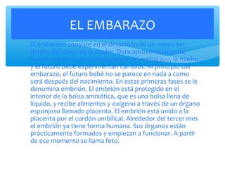 ∗ El embarazo consiste en el desarrollo de un nuevo ser
dentro del útero de la madre. Dura aproximadamente
nueve meses. Como consecuencia del embarazo, la madre
y el futuro bebé experimentan cambios. Al principio del
embarazo, el futuro bebé no se parece en nada a como
será después del nacimiento. En estas primeras fases se le
denomina embrión. El embrión está protegido en el
interior de la bolsa amniótica, que es una bolsa llena de
líquido, y recibe alimentos y oxígeno a través de un órgano
esponjoso llamado placenta. El embrión está unido a la
placenta por el cordón umbilical. Alrededor del tercer mes
el embrión ya tiene forma humana. Sus órganos están
prácticamente formados y empiezan a funcionar. A partir
de ese momento se llama feto.
EL EMBARAZO
 
