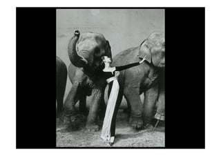 Maestros Del Retrato Web