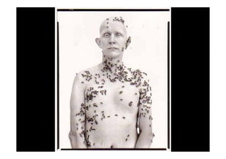 Maestros Del Retrato Web