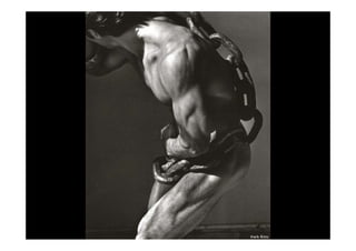 Maestros Del Retrato Web