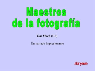 Maestros de la fotografía afanyeuse Tim Flach  (US)  U n variado impresionante 