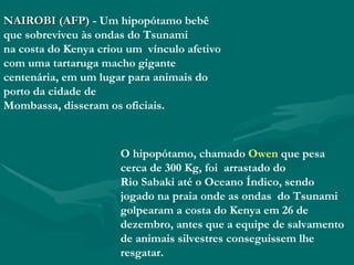 NAIROBI (AFP)  - Um hipopótamo bebê que sobreviveu às ondas do Tsunami na costa do Kenya criou um  vínculo afetivo com uma tartaruga macho gigante centenária, em um lugar para animais do porto da cidade de Mombassa, disseram os oficiais. O hipopótamo, chamado  Owen  que   pesa cerca de 300 Kg, foi  arrastado do Rio Sabaki até o Oceano Índico, sendo jogado na praia onde as ondas  do Tsunami golpearam a costa do Kenya em 26 de dezembro, antes que a equipe de salvamento de animais silvestres conseguissem lhe resgatar. 