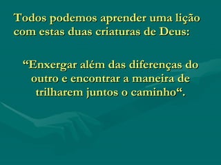 “ Enxergar além das diferenças do outro e  encontrar a maneira de trilharem juntos o caminho“. Todos podemos aprender uma lição com estas duas criaturas de Deus: 