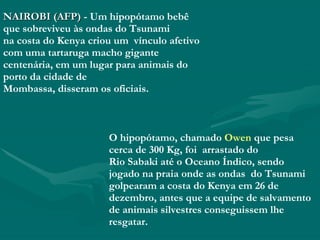 NAIROBI (AFP)  - Um hipopótamo bebê que sobreviveu às ondas do Tsunami na costa do Kenya criou um  vínculo afetivo com uma tartaruga macho gigante centenária, em um lugar para animais do porto da cidade de Mombassa, disseram os oficiais. O hipopótamo, chamado  Owen  que   pesa cerca de 300 Kg, foi  arrastado do Rio Sabaki até o Oceano Índico, sendo jogado na praia onde as ondas  do Tsunami golpearam a costa do Kenya em 26 de dezembro, antes que a equipe de salvamento de animais silvestres conseguissem lhe resgatar. 