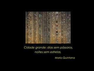 Cidade grande: dias sem pássaros, noites sem estrelas.  Mario Quintana 