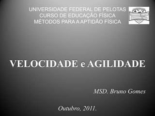 UNIVERSIDADE FEDERAL DE PELOTAS
      CURSO DE EDUCAÇÃO FÍSICA
    MÉTODOS PARA A APTIDÃO FÍSICA




VELOCIDADE e AGILIDADE

                        MSD. Bruno Gomes

            Outubro, 2011.
 