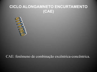 CICLO ALONGAMNETO ENCURTAMENTO
               (CAE)




CAE: fenômeno de combinação excêntrica-concêntrica.
 