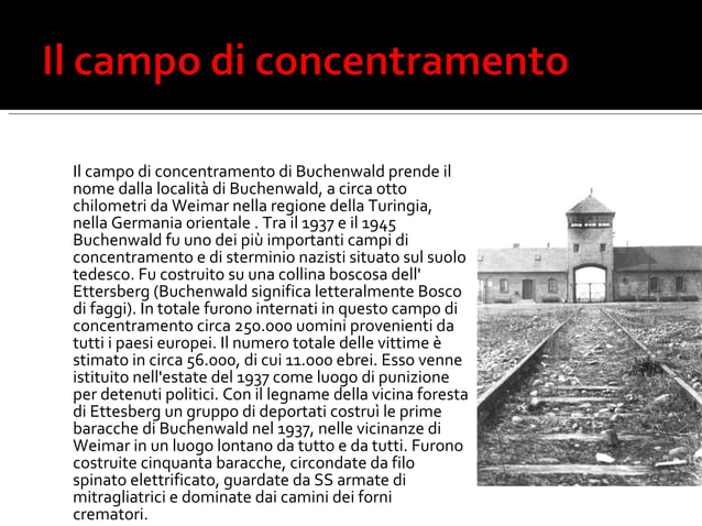 Mafalda di savoia PPT