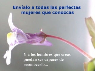 Envíalo a todas las perfectas  mujeres que conozcas Y a los hombres que creas puedan ser capaces de reconocerlo... 
