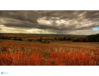 Taller Mundo Moribundo