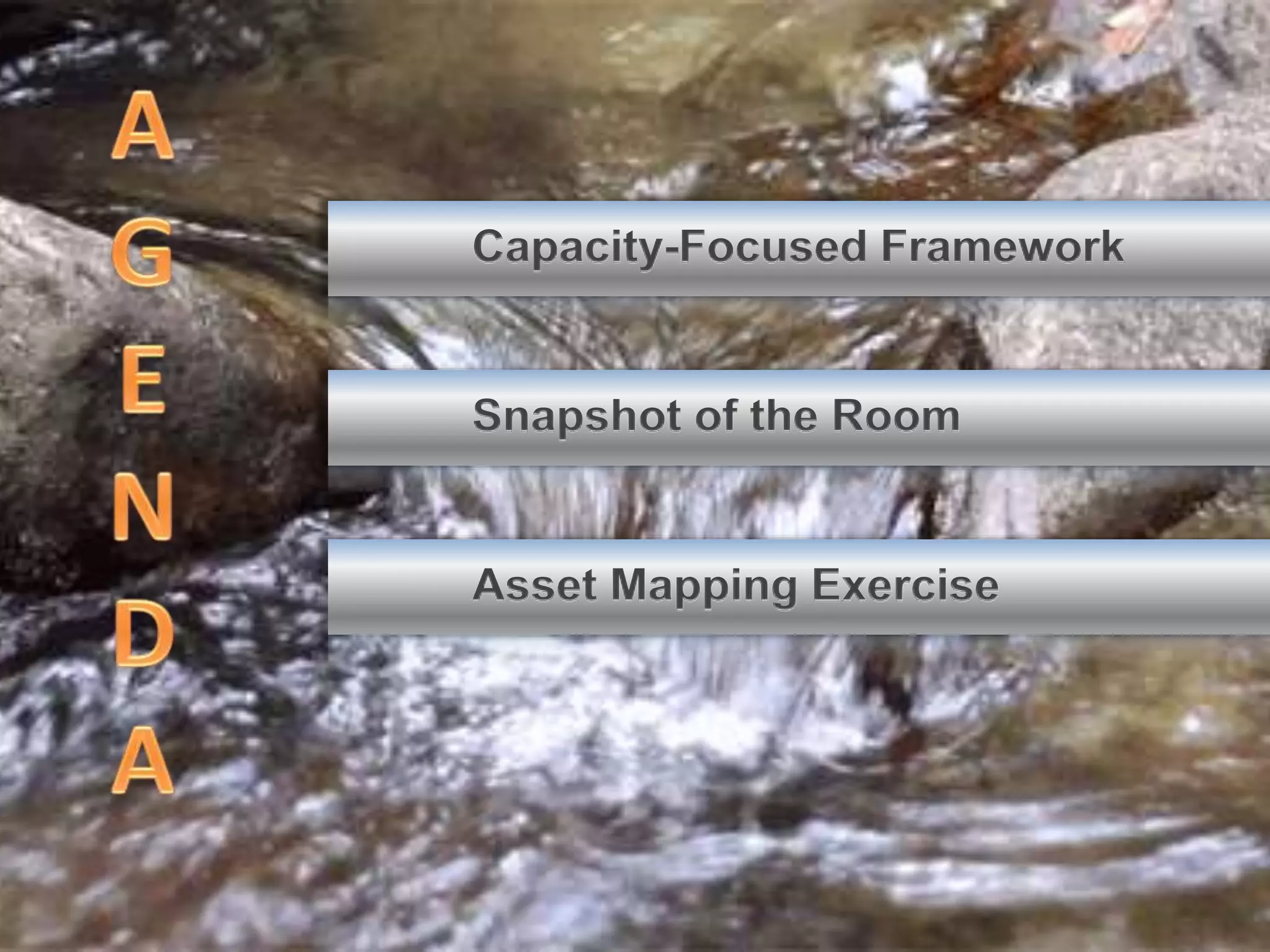 Capacity-Focused Framework 
Snapshot of the Room 
Asset Mapping Exercise 
 