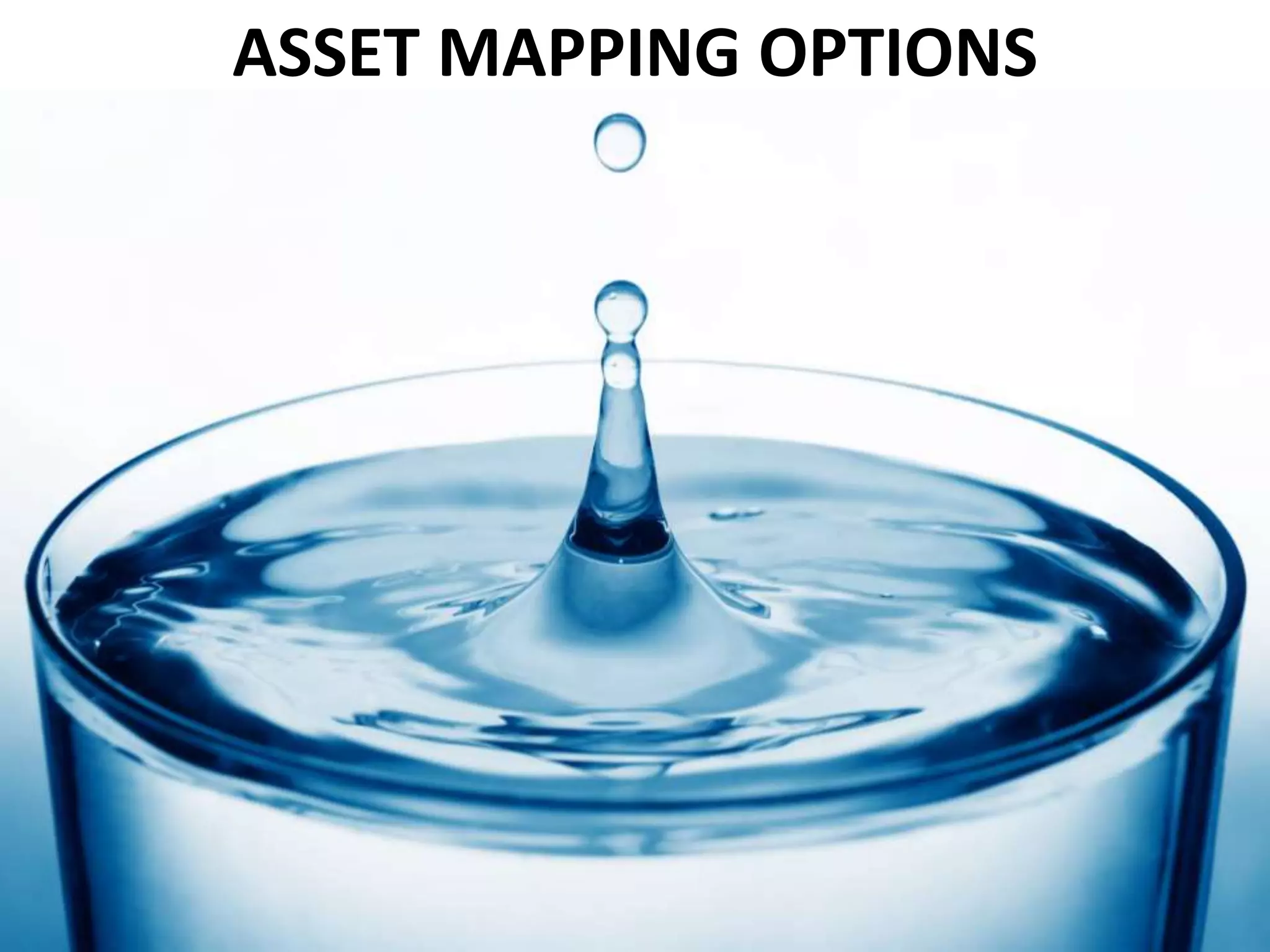 ASSET MAPPING OPTIONS 
 