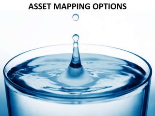 ASSET MAPPING OPTIONS 
 
