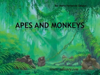 By: Maria Fernanda Gelpud Apes and monkeys 
