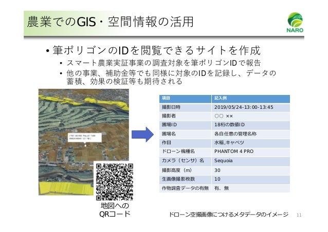第２回 デジタル地図 の活用に関する検討会発表資料 農研機構 岩崎
