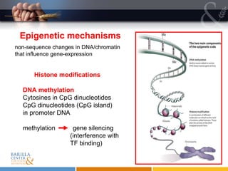 Epigenetic mechanisms non-sequence changes in DNA/chromatin that influence gene-expression Histone modifications DNA methylation Cytosines in CpG dinucleotides CpG dinucleotides (CpG island)  in promoter DNA methylation  gene silencing    (interference with    TF binding) 