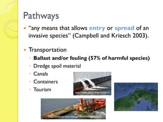 Invasive species in Coastal Ecosystems: Causes, Impacts and Management ...
