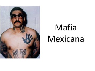 Mafia
Mexicana
 