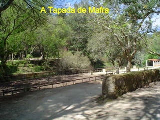 A Tapada de Mafra 