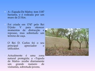 A «Tapada De Mafra» tem 1187 hectares, e é rodeada por um muro de 21 Km. Foi criada em 1747 pelo Rei D.João V para oferecer momentos de distracç ã o e repouso, mas sobretudo um terreno de caça. O Rei D. Carlos foi o seu principal apreciador e utilizador. Actualmente é uma zona natural protegida; a «Tapada de Mafra» recebe diariamente um grande numero de visitantes, sobretudo jovens.  