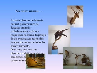 Existem objectos de historia natural provenientes da Tapada: animais embalsamados, cobras e esqueletos da fauna do parque. Estao expostas as hastes dos veados durante o periodo do seu crescimento. O museu, que tem um objectivo didatico, ensina as caracteristicas de vida dos varios animais da Tapada. No outro museu… 