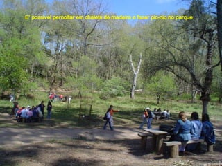 E’ possivel pernoitar em chalets de madeira e fazer pic-nic no parque 