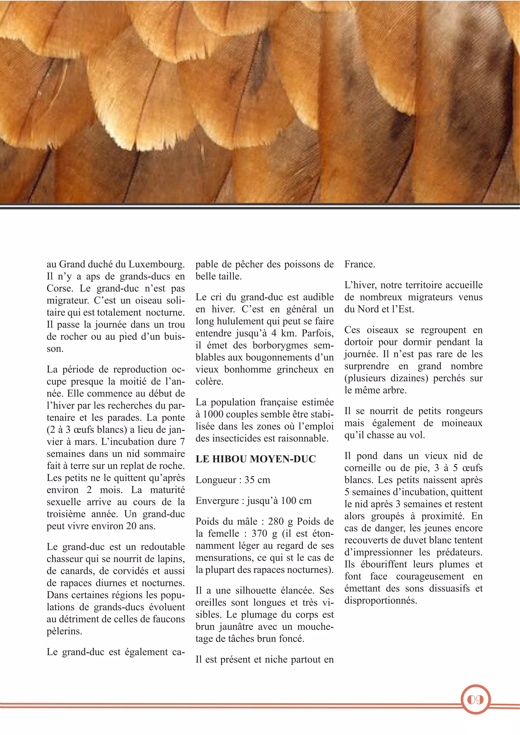 "-%_("#4%4-0?8%4-%@-2'17*-(=:%
G&% #5J% "% ")$% 4'% =("#4$C4-0$% '#%
R*($':% @'% =("#4C4-0% #5'$+% )"$%
1.=("+'-(:% R5'$+% -#% *.$'"-% $*&.C
+".('%,-.%'$+%+*+"&'1'#+%%#*0+-(#':%
G&% )"$$'% &"% 9*-(#8'% 4"#$% -#% +(*-%
4'% (*0?'(% *-% "-% ).'4% 45-#% 7-.$C
$*#:

)"7&'%4'%)P0?'(%4'$%)*.$$*#$%4'% Z("#0':
7'&&'%+".&&':
@5?./'(3%#*+('%+'((.+*.('%"00-'.&&'%
@'% 0(.% 4-% =("#4C4-0% '$+% "-4.7&'% 4'% #*17('-2% 1.=("+'-($% /'#-$%
'#% ?./'(:% R5'$+% '#% =8#8("&% -#% 4-%O*(4%'+%&5a$+:
&*#=%?-&-&'1'#+%,-.%)'-+%$'%6".('%
'#+'#4('% 9-$,-5D% X% b1:% "(6*.$3% R'$% *.$'"-2% $'% ('=(*-)'#+% '#%
.&% 81'+% 4'$% 7*(7*(J=1'$% $'1C 4*(+*.(% )*-(% 4*(1.(% )'#4"#+% &"%
7&"7&'$%"-2%7*-=*##'1'#+$%45-#% 9*-(#8':% G&% #5'$+% )"$% ("('% 4'% &'$%
@"% )8(.*4'% 4'% (')(*4-0+.*#% *0C /.'-2% 7*#?*11'% =(.#0?'-2% '#% $-()('#4('% '#% =("#4% #*17('%
d)&-$.'-($% 4.E".#'$e% )'(0?8$% $-(%
0-)'% )('$,-'% &"% 1*.+.8% 4'% &5"#C 0*&B(':
&'%1P1'%"(7(':
#8':%a&&'%0*11'#0'%"-%487-+%4'%
&5?./'(%)"(%&'$%('0?'(0?'$%4-%)"(C @"% )*)-&"+.*#% 6("#]".$'% '$+.18'%
G&% $'% #*-((.+% 4'% )'+.+$% (*#='-($%
+'#".('% '+% &'$% )"("4'$:% @"% )*#+'% D%WVVV%0*-)&'$%$'17&'%P+('%$+"7.C
1".$% 8="&'1'#+% 4'% 1*.#'"-2%
dU%D%K%h-6$%7&"#0$e%"%&.'-%4'%9"#C &.$8'% 4"#$% &'$% E*#'$% *i% &5'1)&*.%
,-5.&%0?"$$'%"-%/*&:
/.'(%D%1"($:%@5.#0-7"+.*#%4-('%L% 4'$%.#$'0+.0.4'$%'$+%(".$*##"7&':%
$'1".#'$% 4"#$% -#% #.4% $*11".('%
G&% )*#4% 4"#$% -#% /.'-2% #.4% 4'%
!"#./0,)#1,2"'3()*
6".+%D%+'(('%$-(%-#%(')&"+%4'%(*0?':%
0*(#'.&&'% *-% 4'% ).'3% K% D% ^% h-6$%
@'$%)'+.+$%#'%&'%,-.++'#+%,-5")(B$% @*#=-'-(%Y%K^%01
7&"#0$:% @'$% )'+.+$% #".$$'#+% ")(B$%
'#/.(*#% U% 1*.$:% @"% 1"+-(.+8%
^%$'1".#'$%45.#0-7"+.*#3%,-.++'#+%
$'2-'&&'% "((./'% "-% 0*-($% 4'% &"% a#/'(=-('%Y%9-$,-5D%WVV%01
&'%#.4%")(B$%K%$'1".#'$%'+%('$+'#+%
+(*.$.B1'% "##8':% M#% =("#4C4-0%
"&*($% =(*-)8$% D% )(*2.1.+8:% a#%
*.4$% 4-% 1Q&'% Y% UjV% =% *.4$% 4'%
)'-+%/./('%'#/.(*#%UV%"#$:
0"$%4'%4"#='(3%&'$%9'-#'$%'#0*('%
&"% 6'1'&&'% Y% KLV% =% d.&% '$+% 8+*#C
('0*-/'(+$%4'%4-/'+%7&"#0%+'#+'#+%
@'% =("#4C4-0% '$+% -#% ('4*-+"7&'% #"11'#+% &8='(% "-% ('="(4% 4'% $'$%
45.1)('$$.*##'(% &'$% )(84"+'-($:%
0?"$$'-(%,-.%$'%#*-((.+%4'%&").#$3% 1'#$-("+.*#$3%0'%,-.%$+%&'%0"$%4'%
G&$% 87*-(.66'#+% &'-($% )&-1'$% '+%
4'% 0"#"(4$3% 4'% 0*(/.48$% '+% "-$$.% &"%)&-)"(+%4'$%(")"0'$%#*0+-(#'$e:
6*#+% 6"0'% 0*-("='-$'1'#+% '#%
4'% (")"0'$% 4.-(#'$% '+% #*0+-(#'$:%
81'++"#+% 4'$% $*#$% 4.$$-"$.6$% '+%
!"#$%0'(+".#'$%(8=.*#$%&'$%)*)-C G&% "% -#'% $.&?*-'++'% 8&"#08':% >'$%
4.$)(*)*(+.*##8$:
&"+.*#$% 4'% =("#4$C4-0$% 8/*&-'#+% *('.&&'$% $*#+% &*#=-'$% '+% +(B$% /.C
"-%48+(.1'#+%4'%0'&&'$%4'%6"-0*#$% $.7&'$:% @'% )&-1"='% 4-% 0*()$% '$+%
7(-#% 9"-#Q+('% "/'0% -#% 1*-0?'C
)B&'(.#$:
+"='%4'%+Q0?'$%7(-#%6*#08:
@'% =("#4C4-0% '$+% 8="&'1'#+% 0"C
G&%'$+%)(8$'#+%'+%#.0?'%)"(+*-+%'#%

&7

 