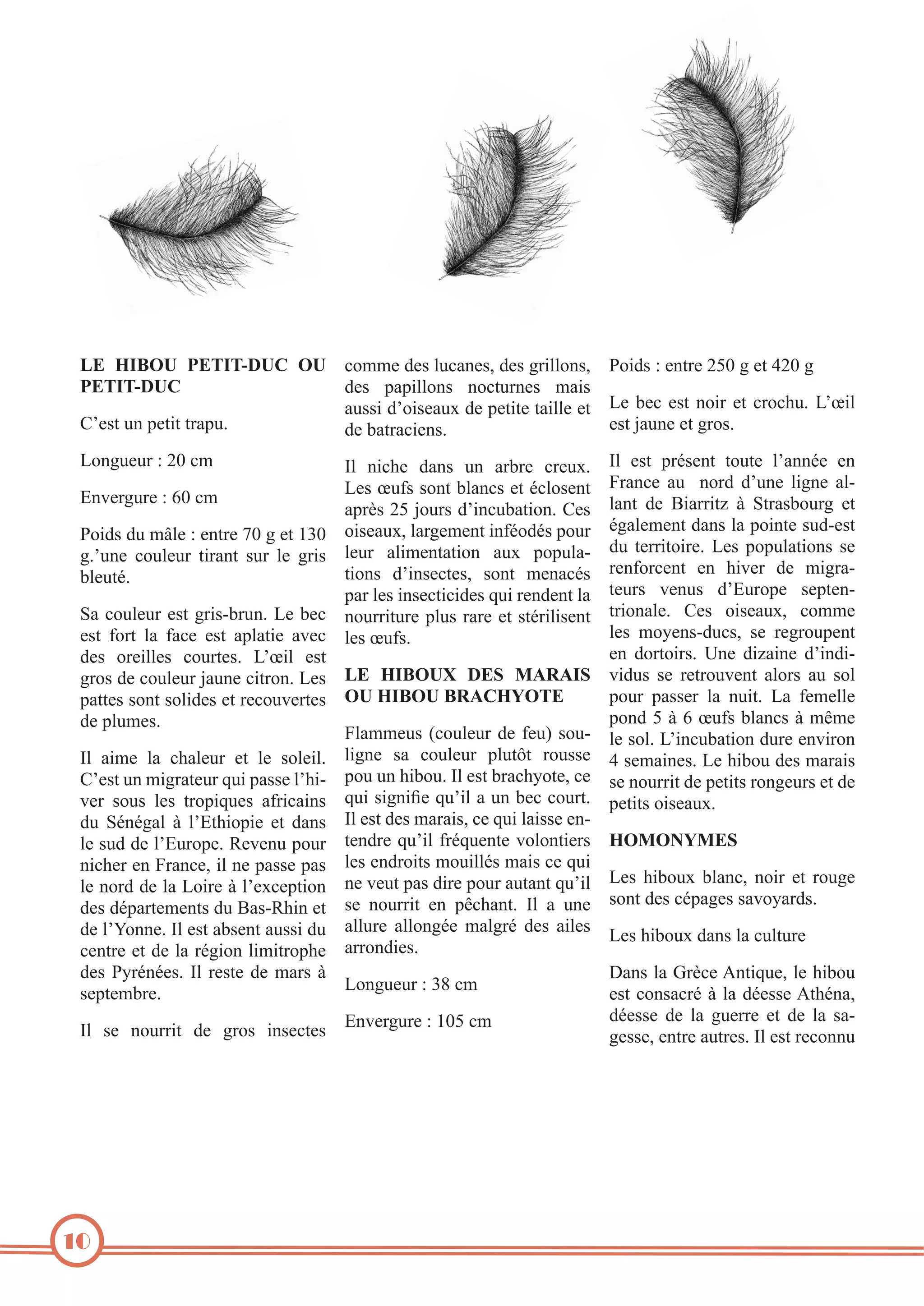 !"# ./0,)# -"4/43()*# ,)# 0*11'%4'$%&-0"#'$3%4'$%=(.&&*#$3% *.4$%Y%'#+('%U^V%=%'+%XUV%=
-"4/43()*
4'$% )").&&*#$% #*0+-(#'$% 1".$%
"-$$.%45*.$'"-2%4'%)'+.+'%+".&&'%'+% @'% 7'0% '$+% #*.(% '+% 0(*0?-:% @5h.&%
R5'$+%-#%)'+.+%+(")-:
'$+%9"-#'%'+%=(*$:
4'%7"+("0.'#$:
@*#=-'-(%Y%UV%01
a#/'(=-('%Y%cV%01
*.4$%4-%1Q&'%Y%'#+('%LV%=%'+%WKV%
=:5-#'% 0*-&'-(% +.("#+% $-(% &'% =(.$%
7&'-+8:%
>"%0*-&'-(%'$+%=(.$C7(-#:%@'%7'0%
'$+% 6*(+% &"% 6"0'% '$+% ")&"+.'% "/'0%
4'$% *('.&&'$% 0*-(+'$:% @5h.&% '$+%
=(*$%4'%0*-&'-(%9"-#'%0.+(*#:%@'$%
)"++'$%$*#+%$*&.4'$%'+%('0*-/'(+'$%
4'%)&-1'$:
G&% ".1'% &"% 0?"&'-(% '+% &'% $*&'.&:%
R5'$+%-#%1.=("+'-(%,-.%)"$$'%&5?.C
/'(% $*-$% &'$% +(*).,-'$% "6(.0".#$%
4-% >8#8="&% D% &5a+?.*).'% '+% 4"#$%
&'%$-4%4'%&5a-(*)':%N'/'#-%)*-(%
#.0?'(%'#%Z("#0'3%.&%#'%)"$$'%)"$%
&'%#*(4%4'%&"%@*.('%D%&5'20')+.*#%
4'$%48)"(+'1'#+$%4-%S"$CN?.#%'+%
4'%&5k*##':%G&%'$+%"7$'#+%"-$$.%4-%
0'#+('%'+%4'%&"%(8=.*#%&.1.+(*)?'%
4'$% J(8#8'$:% G&% ('$+'% 4'% 1"($% D%
$')+'17(':
G&% $'% #*-((.+% 4'% =(*$% .#$'0+'$%

-&

G&% '$+% )(8$'#+% +*-+'% &5"##8'% '#%
Z("#0'% "-% % #*(4% 45-#'% &.=#'% "&C
&"#+% 4'% S."((.+E% D% >+("$7*-(=% '+%
8="&'1'#+%4"#$%&"%)*.#+'%$-4C'$+%
4-% +'((.+*.(':% @'$% )*)-&"+.*#$% $'%
('#6*(0'#+% '#% ?./'(% 4'% 1.=("C
+'-($% /'#-$% 45a-(*)'% $')+'#C
+(.*#"&':% R'$% *.$'"-23% 0*11'%
&'$% 1*J'#$C4-0$3% $'% ('=(*-)'#+%
'#% 4*(+*.($:% M#'% 4.E".#'% 45.#4.C
!"# ./0,)5# ("6# 1&%&/6# /.4-$% $'% ('+(*-/'#+% "&*($% "-% $*&%
,)#./0,)#0%&*.2,4"
)*-(% )"$$'(% &"% #-.+:% @"% 6'1'&&'%
)*#4%^%D%c%h-6$%7&"#0$%D%1P1'%
Z&"11'-$% d0*-&'-(% 4'% 6'-e% $*-C &'%$*&:%@5.#0-7"+.*#%4-('%'#/.(*#%
&.=#'% $"% 0*-&'-(% )&-+A+% (*-$$'% X%$'1".#'$:%@'%?.7*-%4'$%1"(".$%
)*-%-#%?.7*-:%G&%'$+%7("0?J*+'3%0'% $'%#*-((.+%4'%)'+.+$%(*#='-($%'+%4'%
)'+.+$%*.$'"-2:
G&%'$+%4'$%1"(".$3%0'%,-.%&".$$'%'#C
+'#4('%,-5.&%6(8,-'#+'%/*&*#+.'($% .,1,'21"6
&'$%'#4(*.+$%1*-.&&8$%1".$%0'%,-.%
#'%/'-+%)"$%4.('%)*-(%"-+"#+%,-5.&% @'$% ?.7*-2% 7&"#03% #*.(% '+% (*-='%
$'% #*-((.+% '#% )P0?"#+:% G&% "% -#'% $*#+%4'$%08)"='$%$"/*J"(4$:
"&&-('% "&&*#=8'% 1"&=(8% 4'$% ".&'$%
@'$%?.7*-2%4"#$%&"%0-&+-('
"((*#4.'$:
!"#$%&"%_(B0'%<#+.,-'3%&'%?.7*-%
@*#=-'-(%Y%Kj%01
'$+%0*#$"0(8%D%&"%48'$$'%<+?8#"3%
48'$$'% 4'% &"% =-'(('% '+% 4'% &"% $"C
a#/'(=-('%Y%WV^%01
='$$'3%'#+('%"-+('$:%G&%'$+%('0*##-%
G&% #.0?'% 4"#$% -#% "(7('% 0('-2:%
@'$%h-6$%$*#+%7&"#0$%'+%80&*$'#+%
")(B$%U^%9*-($%45.#0-7"+.*#:%R'$%
*.$'"-23%&"(='1'#+%.#68*48$%)*-(%
&'-(% "&.1'#+"+.*#% "-2% )*)-&"C
+.*#$% 45.#$'0+'$3% $*#+% 1'#"08$%
)"(%&'$%.#$'0+.0.4'$%,-.%('#4'#+%&"%
#*-((.+-('%)&-$%("('%'+%$+8(.&.$'#+%
&'$%h-6$:

 