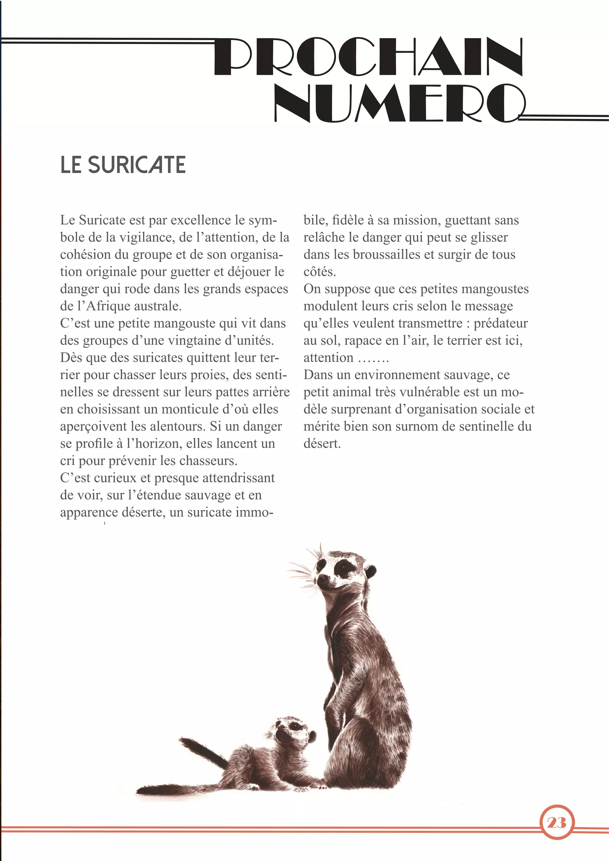 ?+%5>*#3
36)!+%
,B&%$1*#(2.
@'%>-(.0"+'%'$+%)"(%'20'&&'#0'%&'%$J1C
7*&'%4'%&"%/.=.&"#0'3%4'%&5"++'#+.*#3%4'%&"%
0*?8$.*#%4-%=(*-)'%'+%4'%$*#%*(="#.$"C
+.*#%*(.=.#"&'%)*-(%=-'++'(%'+%489*-'(%&'%
4"#='(%,-.%(*4'%4"#$%&'$%=("#4$%'$)"0'$%
4'%&5<6(.,-'%"-$+("&':
R5'$+%-#'%)'+.+'%1"#=*-$+'%,-.%/.+%4"#$%
4'$%=(*-)'$%45-#'%/.#=+".#'%45-#.+8$:%
!B$%,-'%4'$%$-(.0"+'$%,-.++'#+%&'-(%+'(C
(.'(%)*-(%0?"$$'(%&'-($%)(*.'$3%4'$%$'#+.C
#'&&'$%$'%4('$$'#+%$-(%&'-($%)"++'$%"((.B('%
'#%0?*.$.$$"#+%-#%1*#+.0-&'%45*i%'&&'$%
")'(]*./'#+%&'$%"&'#+*-($:%>.%-#%4"#='(%

('&Q0?'%&'%4"#='(%,-.%)'-+%$'%=&.$$'(%
4"#$%&'$%7(*-$$".&&'$%'+%$-(=.(%4'%+*-$%
0A+8$:
;#%$-))*$'%,-'%0'$%)'+.+'$%1"#=*-$+'$%
1*4-&'#+%&'-($%0(.$%$'&*#%&'%1'$$"='%
,-5'&&'$%/'-&'#+%+("#$1'++('%Y%)(84"+'-(%
"-%$*&3%(")"0'%'#%&5".(3%&'%+'((.'(%'$+%.0.3%%
"++'#+.*#%xx:
!"#$%-#%'#/.(*##'1'#+%$"-/"='3%0'%
)'+.+%"#.1"&%+(B$%/-&#8("7&'%'$+%-#%1*C
4B&'%$-()('#"#+%45*(="#.$"+.*#%$*0."&'%'+%
18(.+'%7.'#%$*#%$-(#*1%4'%$'#+.#'&&'%4-%
48$'(+:

0(.%)*-(%)(8/'#.(%&'$%0?"$$'-($:
R5'$+%0-(.'-2%'+%)('$,-'%"++'#4(.$$"#+%
4'%/*.(3%$-(%&58+'#4-'%$"-/"='%'+%'#%
"))"('#0'%48$'(+'3%-#%$-(.0"+'%.11*C

0.

 