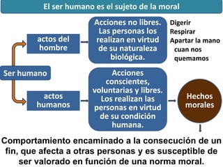 Ser humano
actos del
hombre
Acciones no libres.
Las personas los
realizan en virtud
de su naturaleza
biológica.
actos
humanos
Acciones
conscientes,
voluntarias y libres.
Los realizan las
personas en virtud
de su condición
humana.
Hechos
morales
Comportamiento encaminado a la consecución de un
fin, que afecta a otras personas y es susceptible de
ser valorado en función de una norma moral.
El ser humano es el sujeto de la moral
Digerir
Respirar
Apartar la mano
cuan nos
quemamos
 