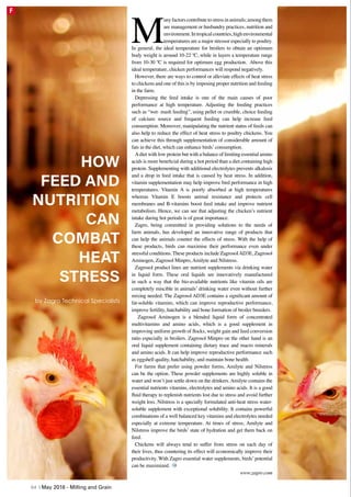 M
anyfactorscontributetostressinanimals;amongthem
are management or husbandry practices, nutrition and
environment.Intropicalcountries,highenvironmental
temperatures are a major stressor especially to poultry.
In general, the ideal temperature for broilers to obtain an optimum
body weight is around 10-22 ºC, while in layers a temperature range
from 10-30 ºC is required for optimum egg production. Above this
ideal temperature, chicken performances will respond negatively.
However, there are ways to control or alleviate effects of heat stress
to chickens and one of this is by imposing proper nutrition and feeding
in the farm.
Depressing the feed intake is one of the main causes of poor
performance at high temperature. Adjusting the feeding practices
such as “wet- mash feeding”, using pellet or crumble, choice feeding
of calcium source and frequent feeding can help increase feed
consumption. Moreover, manipulating the nutrient status of feeds can
also help to reduce the effect of heat stress to poultry chickens. You
can achieve this through supplementation of considerable amount of
fats in the diet, which can enhance birds’consumption.
Adiet with low protein but with a balance of limiting essential amino
acids is more beneficial during a hot period than a diet containing high
protein. Supplementing with additional electrolytes prevents alkalosis
and a drop in feed intake that is caused by heat stress. In addition,
vitamin supplementation may help improve bird performance in high
temperatures. Vitamin A is poorly absorbed at high temperatures
whereas Vitamin E boosts animal resistance and protects cell
membranes and B-vitamins boost feed intake and improve nutrient
metabolism. Hence, we can see that adjusting the chicken’s nutrient
intake during hot periods is of great importance.
Zagro, being committed in providing solutions to the needs of
farm animals, has developed an innovative range of products that
can help the animals counter the effects of stress. With the help of
these products, birds can maximise their performance even under
stressful conditions. These products include ZagrosolAD3E, Zagrosol
Aminogen, Zagrosol Minpro, Amilyte and Nilstress.
Zagrosol product lines are nutrient supplements via drinking water
in liquid form. These oral liquids are innovatively manufactured
in such a way that the bio-available nutrients like vitamin oils are
completely miscible in animals’ drinking water even without further
mixing needed. The Zagrosol AD3E contains a significant amount of
fat-soluble vitamins, which can improve reproductive performance,
improve fertility, hatchability and bone formation of broiler breeders.
Zagrosol Aminogen is a blended liquid form of concentrated
multivitamins and amino acids, which is a good supplement in
improving uniform growth of flocks, weight gain and feed conversion
ratio especially in broilers. Zagrosol Minpro on the other hand is an
oral liquid supplement containing dietary trace and macro minerals
and amino acids. It can help improve reproductive performance such
as eggshell quality, hatchability, and maintain bone health.
For farms that prefer using powder forms, Amilyte and Nilstress
can be the option. These powder supplements are highly soluble in
water and won’t just settle down on the drinkers.Amilyte contains the
essential nutrients vitamins, electrolytes and amino acids. It is a good
fluid therapy to replenish nutrients lost due to stress and avoid further
weight loss. Nilstress is a specially formulated anti-heat stress water-
soluble supplement with exceptional solubility. It contains powerful
combinations of a well balanced key vitamins and electrolytes needed
especially at extreme temperature. At times of stress, Amilyte and
Nilstress improve the birds’ state of hydration and get them back on
feed.
Chickens will always tend to suffer from stress on each day of
their lives, thus countering its effect will economically improve their
productivity. With Zagro essential water supplements, birds’ potential
can be maximized.
www.zagro.com
HOW
FEED AND
NUTRITION
CAN
COMBAT
HEAT
STRESS
by Zagro Technical Specialists
64 | May 2016 - Milling and Grain
F
 
