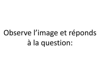 Observe l’image et réponds
      à la question:
 