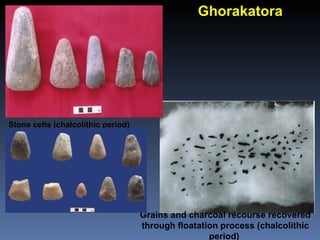 Chalcolithic
                         Ghorakatora




NBPW, Red Ware, Black-
and -red ware sherds
 