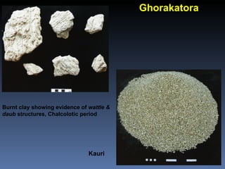 Chalcolithic Ghorakatora
 