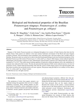 Biological and biochemical properties of the Brazilian
Potamotrygon stingrays: Potamotrygon cf. scobina
and Potamotrygon gr. orbignyi
Kharita W. Magalha˜es a
, Carla Lima b
, Ana Ame´lia Piran-Soares b
, Elineide
E. Marques a
, Cle´lia A. Hiruma-Lima c
, Moˆnica Lopes-Ferreira b,
*
a
Nucleus of Environmental Studies, Federal University of Tocantins, Tocantins, Brazil
b
Laboratory of Immunopathology, Butantan Institute Av. Vital Brazil, 1500, Butantan, 05503-009 Sa˜o Paulo, SP, Brazil
c
Physiology Department, Biosciences Institute, Sa˜o Paulo State University, Sa˜o Paulo, SP, Brazil
Received 9 November 2005; revised 25 January 2006; accepted 26 January 2006
Available online 24 March 2006
Abstract
Stingrays of the family Potamotrygonidae are widespread throughout river systems of South America that drain into the
Atlantic Ocean. Some species are endemic to the most extreme freshwater environment of the Brazil and cause frequent
accidents to humans. The envenomation causes immediate, local, and intense pain, soft tissue edema, and a variable extent of
bleeding. The present study was carried out in order to describe the principal biological and some biochemical properties of the
Brazilian Potamotrygon ﬁsh venoms (Potamotrygon cf. scobina and P. gr. orbignyi). Both stingray venoms induced signiﬁcant
edematogenic and nociceptive responses in mice. Edematogenic and nociceptive responses were reduced when the venom was
incubated at 37 or 56 8C. The results showed striking augments of leukocytes rolling and adherent cells to the endothelium of
cremaster mice induced by both venoms. The data also presented that injection of both venoms induced necrosis, low level of
proteolytic activity, without inducing haemorrhage. But when the venoms of both stingray species were injected together with
their mucus secretion, the necrotizing activity was more vigorous. The present study provided in vivo evidence of toxic effects
for P. cf. scobina and P. gr. orbignyi venoms.
q 2006 Elsevier Ltd. All rights reserved.
Keywords: Potamotrygon venoms; Stingrays; Biological and biochemical activities
1. Introduction
The production of toxins from aquatic animals is an
important strategy that guarantees their survival in a highly
competitive ecosystem. These animals produce an enor-
mous number of metabolics, whose combinations result in a
great variety of chemical structures and complex molecules,
as alkaloids, steroids, peptides and proteins with chemical
and pharmacological properties, different from that pre-
sented by the poisons of terrestrial animals (Russell, 1971).
Despite the fact that studies of the terrestrial animal venoms
have been advanced, there are few reports related to
Brazilian ﬁsh venoms. In this country, a special attention
has been given to the Thalassophryne nattereri ﬁsh venom,
which presented several biological, biochemical, and
pharmacological activities characterized (Lopes-Ferreira
et al., 2004).
Stingrays of the family Potamotrygonidae are wide-
spread throughout river systems of South America that
drain into the Atlantic Ocean. While some members of the
Toxicon 47 (2006) 575–583
www.elsevier.com/locate/toxicon
0041-0101/$ - see front matter q 2006 Elsevier Ltd. All rights reserved.
doi:10.1016/j.toxicon.2006.01.028
* Corresponding author. Tel.: C55 113 726 7222x2134/2087;
fax: C55 113 676 1392.
E-mail address: mlferrei@usp.br (M. Lopes-Ferreira).
 