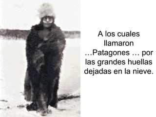 A los cuales
llamaron
…Patagones … por
las grandes huellas
dejadas en la nieve.
 