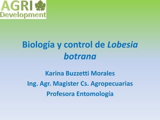 Biología y control de Lobesia
           botrana
       Karina Buzzetti Morales
 Ing. Agr. Magister Cs. Agropecuarias
        Profesora Entomología
 