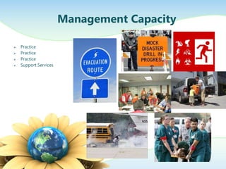 Management Capacity

   Practice
   Practice
   Practice
   Support Services
 