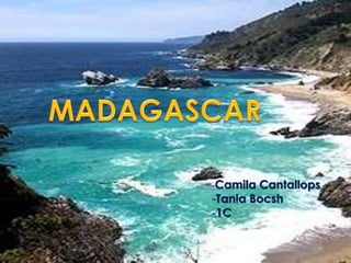 MADAGASCAR -Camila Cantallops ,[object Object]