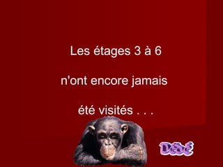 Les étages 3 à 6
n'ont encore jamais
été visités . . .
 