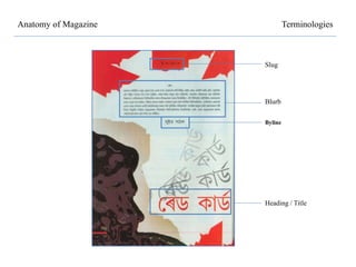 Anatomy of Magazine
Heading / Title
Slug
Blurb
Terminologies
Byline
 