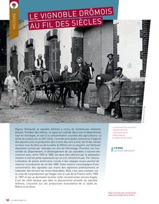 HISTOIRE
Depuis l’Antiquité, le vignoble drômois a connu de nombreuses métamor-
phoses. Pendant des siècles, la vigne est cultivée dans tout le département,
sauf en montagne, et sert à la consommation courante des agriculteurs. La
vente du surplus est, au XIXe
siècle, l’une des principales ressources d’appoint
des paysans avec la production des cocons des vers à soie. Au ﬁl des siècles
certains crus du Diois ou de la vallée du Rhône ont su acquérir une ﬂatteuse
réputation comme par exemple, les vins de l’Hermitage. Pourtant, sur l’en-
semble du Département, le développement de ces vignobles a souvent été
contraint avec, entre 1870 et 1880, les deux tiers détruits par le phylloxéra
mettant à mal les petits exploitants qui ne s’en remettront pas. Par chance,
l’utilisation de plants américains croisés à des cépages locaux permet de
relancer la production de vin dès 1880. Cette relance s’accompagne d’une
concentration des vignobles aux mains des vignerons professionnels et
l’abandon des terroirs les moins favorables. Mais c’est sans compter sur
la crise de surproduction qui frappe tout le sud de la France entre 1905
et 1907 et qui va durement toucher cette reconstruction encore fragile.
C’est de cette époque que date la physionomie actuelle du vignoble
drômois, concentré sur ses productions d’excellence de la vallée du
Rhône et du Diois.
Page réalisée avec les Archives
départementales de la Drôme
30 OCTOBRE/DÉCEMBRE 2017
Le personnel de la maison
Durand et Pollet,
marchands de vin
à Montmeyran,
au début du XXe
siècle.
+ d’infos
archives.ladrome.fr
LE VIGNOBLE DRÔMOIS
AU FIL DES SIÈCLES
ADDrôme,54Fi38
 