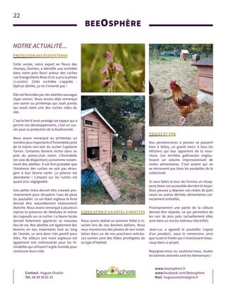 22
BEEOSPHÈRE
Contact. Hugues Orsolin
Tel. 06 09 30 81 35
NOTRE ACTUALITÉ...
www.beeosphere.fr
www.facebook.com/Beeosphere
Mail. huguesorsolin@gmx.fr
PROTECTION DES ÉCOSYSTÈMES
Cette année, notre expert en fleurs des
champs, Damien, a identifié une orchidée
dans notre prés fleuri autour des ruches
rue Grange Dame Rose (il en a pris la photo
ci-contre). Cette orchidée s’appelle :
Ophrys abeille, ça ne s’invente pas !
Elle est fécondée par des abeilles sauvages
(type osmie). Nous avions déjà remarqué
une osmie au printemps qui avait pondu
ses oeufs dans une des ruches vides du
site.
C’est le fait d’avoir protégé cet espace qui a
permis ces développements, c’est un suc-
cès pour la protection de la biodiversité.
Nous avons remarqué au printemps un
nombreplusimportantsd’hirondellesprès
de la mairie non loin du rucher Capitaine
Tarron. Certaines doivent nicher dans ou
près du poney-club voisin. L’hirondelle
(en voie de disparition) consomme notam-
ment des abeilles. Il est fort probable que
l’existence des ruches ne soit pas étran-
gère à leur bonne santé. La pitance est
abondante ! L’impact sur les ruches est
quant à lui négligeable.
Une petite mare devrait être creusée pro-
chainement pour récupérer l’eau de pluie
du poulailler. Le sol étant argileux le fond
devrait être naturellement relativement
étanche. Nous avons remarqué à plusieurs
reprise la présence de libellules et même
de crapauds sur ce rucher. La faune locale
devrait fortement apprécier ce nouveau
lieu de vie. Nos abeilles ont également des
besoins en eau importants tout au long
de l’année, ce sera donc très positif pour
elles. Par ailleurs une mare argileuse est
également très intéressante pour les hi-
rondelles qui utilisent l’argile humide pour
construire leurs nids.
FABRICATION D'UN HÔTEL À INSECTES
Nous avons réalisé un premier hôtel à in-
sectes lors de nos derniers ateliers. Nous
vous montrerons des photos de son instal-
lation dans un de nos prochains articles.
Les osmies sont des hôtes privilégiées de
ce type d’habitat.
POULES ET COQ
Nos pensionnaires à plumes se plaisent
bien à Vélizy, un grand merci à tous les
Véliziens qui leur apportent de la nour-
riture. Ces terribles gallinacées englou-
tissent un volume impressionnant de
restes alimentaires. C’est autant qui ne
se retrouvent pas dans les poubelles de la
collectivité.
Si vous faites le tour de l’enclos un récep-
tacle blanc est accessible derrière le noyer.
Vous pouvez y déposer vos restes de pain
rassis ou autres déchets alimentaires cor-
rectement emballés.
Prochainement une partie de la clôture
devrait être réparée, ce qui permettra de
les voir de plus près (actuellement elles
sont dans un enclos intérieur électrifié).
Jean-Luc a agrandi le poulailler (rajout
d’un pondoir), nous le remercions ainsi
que Suzel et Yvette qui s’investissent beau-
coup dans ce projet.
Rejoignez-nous ou soutenez-nous, toutes
les bonnes volontés sont les bienvenues !
 