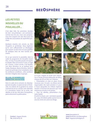 28
BEEOSPHÈRE
Contact. Hugues Orsolin
Tel. 06 09 30 81 35
LES PETITES
NOUVELLES DU
POULAILLER...
www.beeosphere.fr
www.facebook.com/Beeosphere
Mail. huguesorsolin@gmx.fr
C’est déjà l’été, les premières récoltes
de miel « de printemps » ont commencé,
comme tous les ans, nous vous propose-
rons d’en acquérir lors des deux jours de
la fête des associations de septembre pro-
chain.
Quelques essaims ont, encore, pu être
récupérés ce printemps. Nous espérons
qu’ils vont suffisamment se développer
pour passer un bon hiver et nous gratifier
de quelques kilos de miel l’année pro-
chaine.
En ce qui concerne le poulailler, dans le
cadre du programme de Versailles Grand
Parc, en mai, 4 nouvelles poules ont rejoint
le cheptel. Elles ont environ 5 mois. Il s’agit
de 1 rousse, 1 noire cuivrée, 2 de Houdan
(ces deux dernières ne se quittent pas)
Yvette, Roselyne, Marie-Christine, Silvia et
Suzel ont participé à leur installation dans
les meilleures conditions ; elles semblent
très bien intégrées dans le groupe.
EN JUIN, DE NOMBREUSES
ANIMATIONS BEEOSPHÈRE
Dans le cadre de la semaine du dévelop-
pement durable, le week-end de la Pente-
côte, les enfants de la garderie du centre
commercial ont pu assister (très attentifs)
à 2 animations autour de la ruche, des
abeilles et de leur rôle dans l’écosystème,
particulièrement la pollinisation.
Le 8 juin, Hugues et Suzel sont interve-
nus à l’école primaire Rabourdin de Vélizy
(classes de CE1 et CM1) sur 2 thèmes :
. Présentation et mise en place d’une
couveuse avec 12 œufs. Les élèves seront
responsables des œufs pendant 21 jours
à l’issue desquelles les enfants espèrent
assister à l’éclosion de poussins que nous
amènerons ensuite à nos poules.
. Pour les abeilles, présentation d’un
cadre habité.
Et enfin le 14 juin, une « animation poulail-
ler » pour 28 enfants petite section (3,5 à 4
ans) du Centre de Loisirs du Village.
 