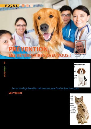 F O C U S
Les actes de prévention nécessaires, que l’animal sorte ou pas.
Les vaccins
La prévention, dans tous les domaine...