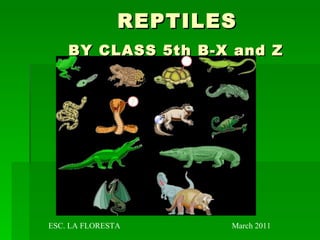 REPTILES   BY CLASS 5th B-X and Z   ESC. LA FLORESTA  March 2011 